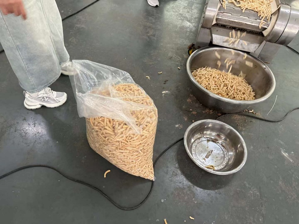 電磁炒貨設備